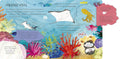 One Little Fish: Exploring the Sea for Curious Kids - MPHOnline.com