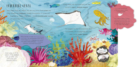 One Little Fish: Exploring the Sea for Curious Kids - MPHOnline.com