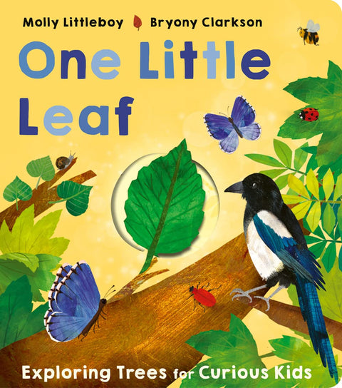 One Little Leaf: Exploring Trees for Curious Kids - MPHOnline.com