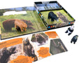 A look inside Pocket Explorers: Bears - MPHOnline.com