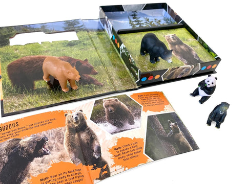 A look inside Pocket Explorers: Bears - MPHOnline.com