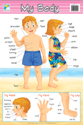 Wall Chart - My Body - MPHOnline.com