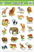 Wall Chart - Animals (9789833486298) - MPHOnline.com