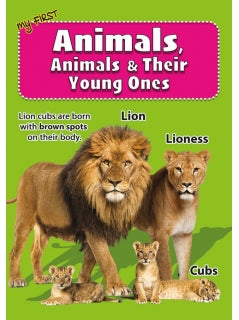 My First Animals,Animals & Their Young Ones - MPHOnline.com