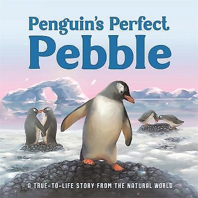 Penguin's Perfect Pebble - MPHOnline.com