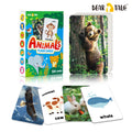 Bear Tale: Flash Card- Animals (54 cards) - MPHOnline.com