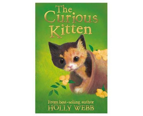 The Curious Kitten - MPHOnline.com