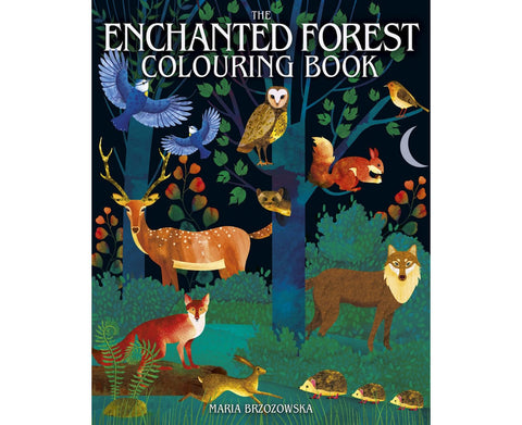 Enchanted Forest Colouring Book - MPHOnline.com