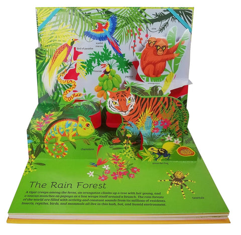 A look inside The Pop-Up Guide: Animals - MPHOnline.com