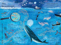 The Big Book of the Blue - MPHOnline.com