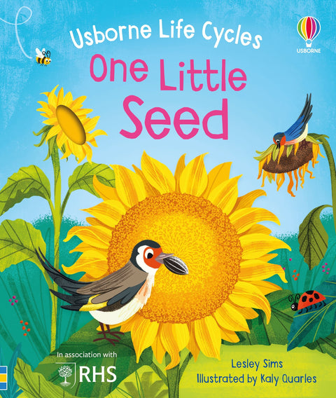 One Little Seed (Usborne Life Cycles) - MPHOnline.com