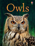 Owls (Beginners Series)