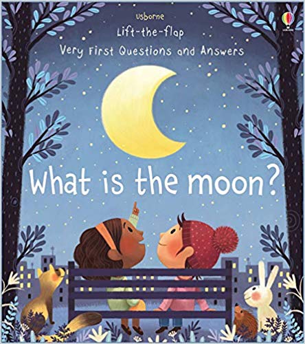 LIFT THE FLAP VERY FIRST Q&A WHAT IS THE MOON?