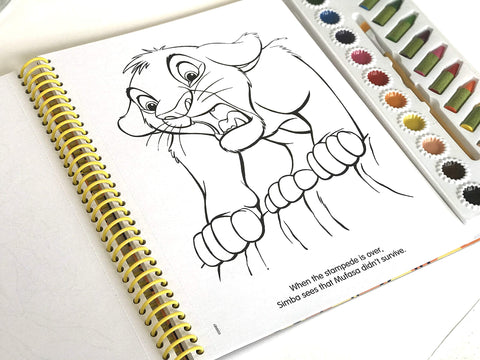 Disney The Lion King Deluxe Poster Paint & Color - MPHOnline.com