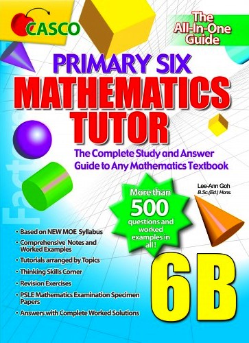 Primary 6B Mathematics Tutor