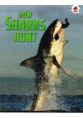 SHARK: HOW SHARKS HUNT