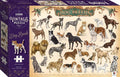 1000-Piece Vintage Puzzle: Dog Breeds - MPHOnline.com