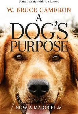 A DOG`S PURPOSE