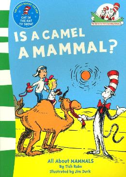 Is A Camel A Mammal? - MPHOnline.com