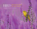 Bird Photographer of the Year - MPHOnline.com