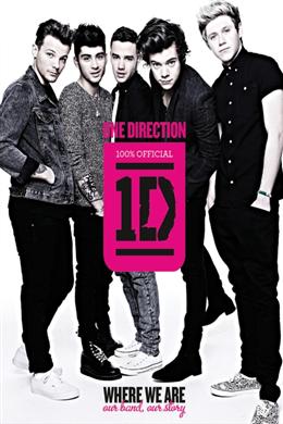 One Direction: Where We Are: Our Band, Our Story: 100% Official - MPHOnline.com