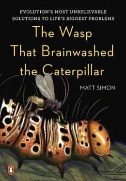 THE WASP THAT BRAINWASHED THE CATERPILLAR - MPHOnline.com