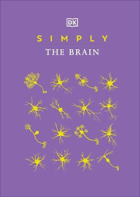 Simply The Brain - MPHOnline.com