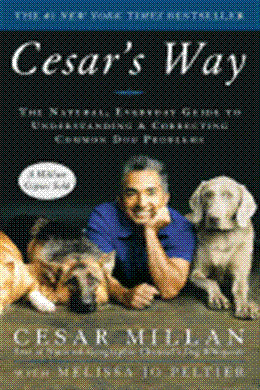 Cesar's Way: The Natural, Everyday Guide to Understanding and Correcting Common Dog Problems - MPHOnline.com