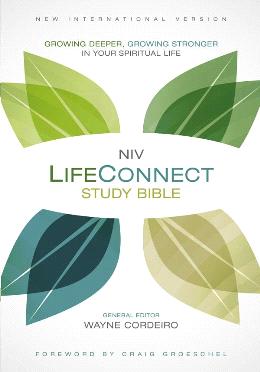 NIV Lifeconnect Study Bible: Growing Deeper, Growing Strong - MPHOnline.com