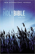 NIV Holy Bible: Large Print - MPHOnline.com