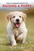 The Ultimate Guide To Raisinga Puppy - MPHOnline.com