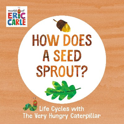 How Does a Seed Sprout? - MPHOnline.com