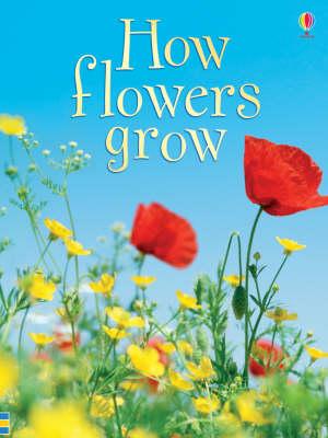 How Flowers Grow (Usborne Beginners) - MPHOnline.com