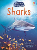 Usborne Beginners: Sharks - MPHOnline.com