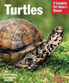 Turtles - MPHOnline.com