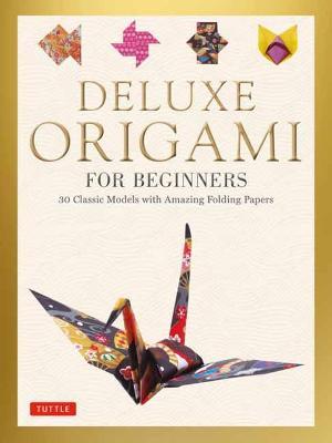 Deluxe Origami for Beginners Kit - MPHOnline.com