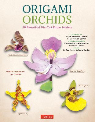 Origami Orchids Kit - MPHOnline.com