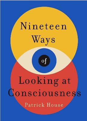 Nineteen Ways of Looking at Consciousness (UK) - MPHOnline.com