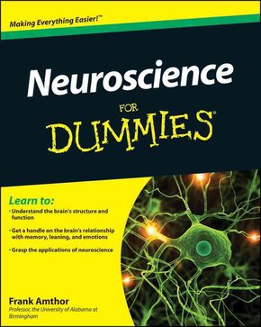 Neuroscience For Dummies - MPHOnline.com