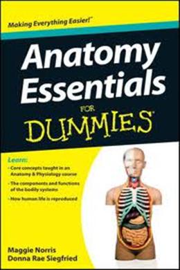 Anatomy Essentials for Dummies - MPHOnline.com