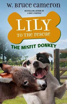 Lily To The Rescue #6: Misfit Donkey - MPHOnline.com