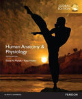 Human Anatomy Physiology - MPHOnline.com