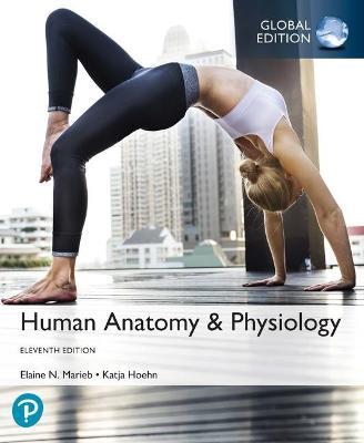 Ge Human Anatomy & Physiology - MPHOnline.com