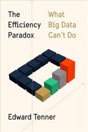 Efficiency Paradox (Hardcover) - MPHOnline.com