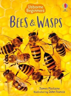 Bees And Wasps (Beginners Series) - MPHOnline.com