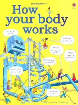 How Your Body Works - MPHOnline.com