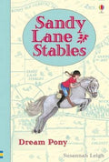 Sandy Lane Stables: Dream Pony (Young Reading Series 4) - MPHOnline.com