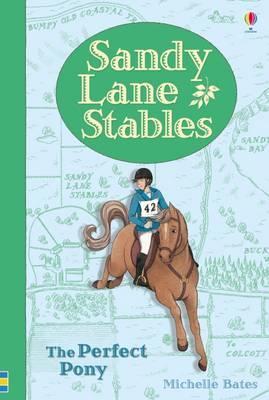 Sandy Lane Stables: The Perfect Pony (Young Reading Series 4) - MPHOnline.com