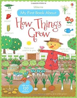 Usborne My First Book About How Things Grow - MPHOnline.com