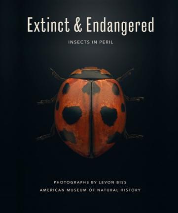 Extinct & Endangered : Insects in Peril - MPHOnline.com